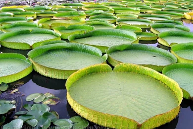 Lakes   Page 2   Nature Wallpapers   Crazy Frankenstein