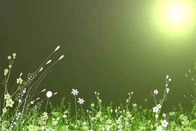 Wallpaper: Wallpapers Website