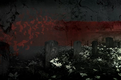 40 Ghost HD Wallpapers