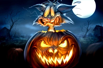 Halloween Wallpapers Cat In Pumpkin