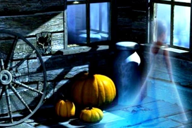 Free 3D Halloween Wallpapers Ghost In The Home Photos Of Free 3D ...