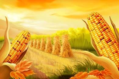 Thanksgiving Wallpapers   Android Apps On Google Play