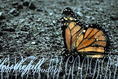 BLESSTHEFALL Metalcore Screamo Hardcore Poster Mood Butterfly ...