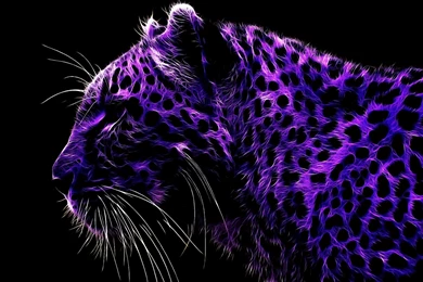 Purple Leopard Wallpapers « HD Wallpapers