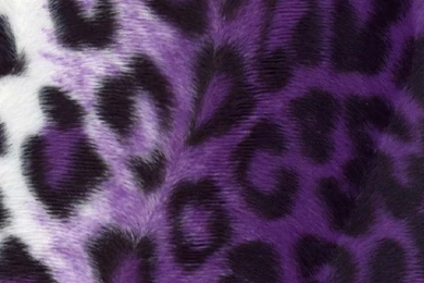 Photo "Purple Leopard Or Jaguar" In The Album "Animal Wallpapers ...