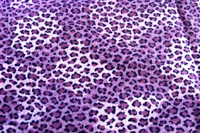 Cheetah Print On Pinterest