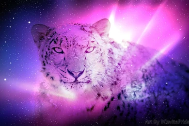 Space Snow Leopard Wallpapers By 1CavitePride1 On DeviantArt
