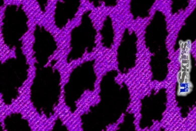 iPad Skin   Purple Leopard (fits IPad2 And IPad3)