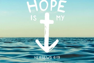 Holly Lane Mobile Wallpapers On Pinterest