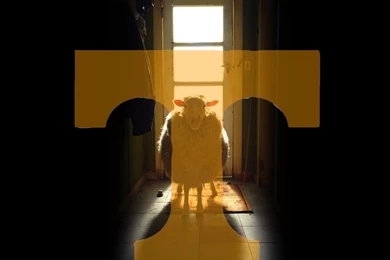 Tennessee Vols HD Wallpapers » Great Wallpapers HD