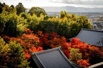 Jeffrey Friedl's Blog » More Japanese Garden Desktop Backgrounds ...