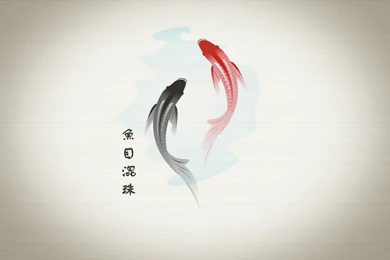 Download Financial Success Drawing Fish Japanese Koi Symbols ...