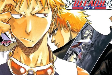 Bleach Anime Desktop Wallpaper1 Wallcoo.net