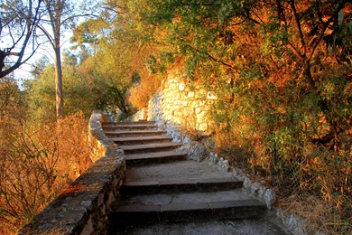 Stair Wallpaper Backgrounds Free Downloads