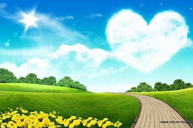 Hd Wallpaper Backgrounds