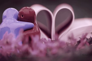 Wide Wallpapers Deviantart Romantic Wallpapers