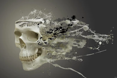 Hd Wide Wallpapers   Wallpapers High Definition