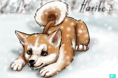 Hachiko Favourites By Mintythewolf On DeviantArt