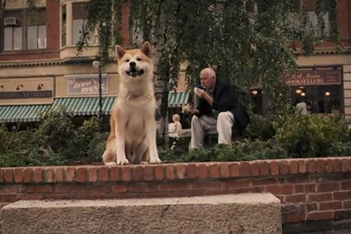 HACHI 約束の犬 ( 映画レビュー )   シネマを感じて‥   Yahoo!ブログ