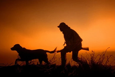 Hunting, Awesome, Wallpaper, Full, Screen, High, Definition ...