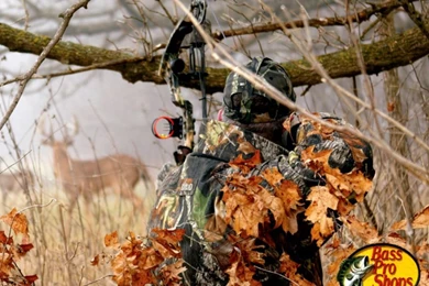 Bow Hunting Wallpapers