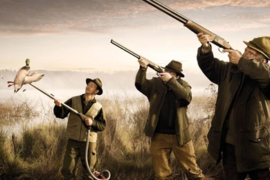 Smart Hunting, 1920x1080 HD Wallpapers And FREE Stock Photo