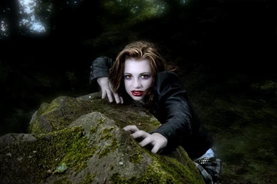 Hunting Wallpaper Backgrounds