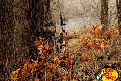 Bow Hunting Wallpapers