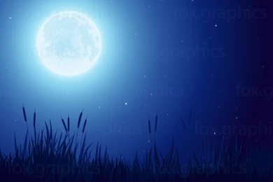 Full Moon Backgrounds   Fox Graphics