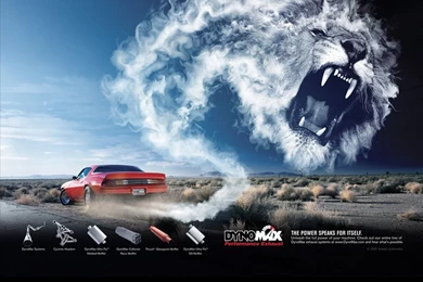 Dynomax Camaro Wallpapers   NastyZ28.com