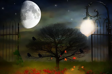 Night Moon Backgrounds Style HD Wallpapers