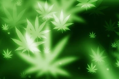 Mary Jane Soft Blur iPhone 6 Plus HD Wallpapers / IPod Wallpapers HD ...