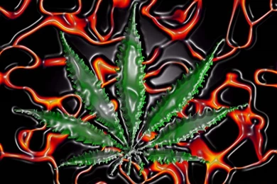 Smskl's Homepage   Image Gallery