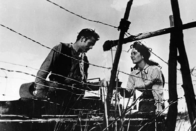 Giant   Classic Movies Wallpapers (16356329)   Fanpop