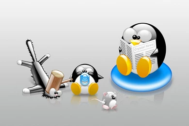 Funny Free Wallpapers (5)