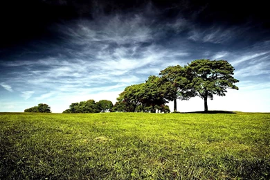 Cool Hd Nature Wallpapers