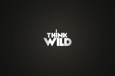 I think wild text creative wallpaper 1920x1080   Magic4Walls.com