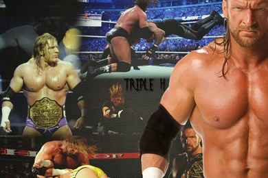 Triple H Wallpapers Triple H Wallpapers (32319921) Fanpop