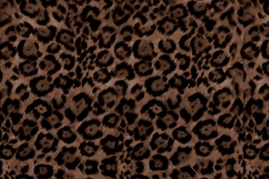 LOve Pink~: Brown Leopard HelloKitty Wallpapers