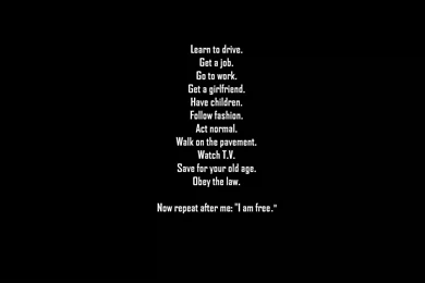 Freedom Text 1680×1050 Wallpapers 794082