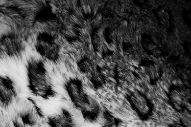 Black Wood Texture Android Wallpapers Free Download