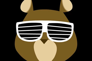 Dropout Bear Spin By Belaboy On DeviantArt