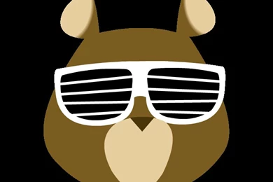 Dropout Bear Spin By Belaboy On DeviantArt