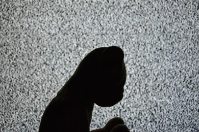 Dropout Bear By ThouWilt On DeviantArt