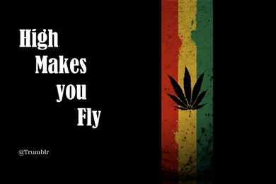 Weed Wallpapers 796   HD Wallpapers