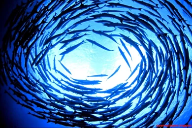 Macbook Pro Retina 15 Desktop Backgrounds