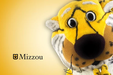 Top Missouri Tigers Wallpapers Download Wallpapers