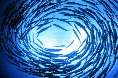 Where This New Wallpapers In The Retina Macbook Thumbnail ...