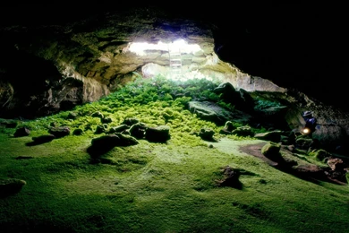 Cool Desktop Wallpapers 1680x1050 (591)   Hebus.org   High ...