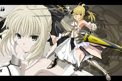 75 Saber Lily HD Wallpapers